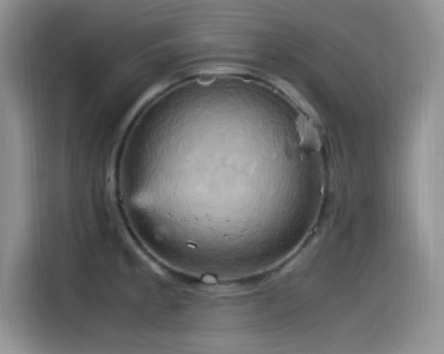 X0000115561189200911061547