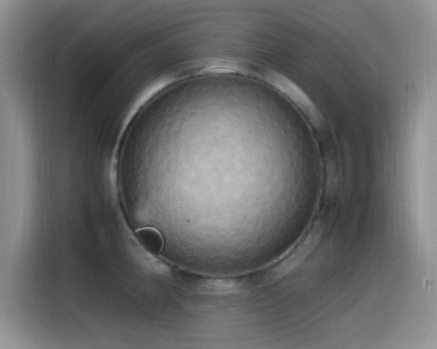 X0000115561190200911061547