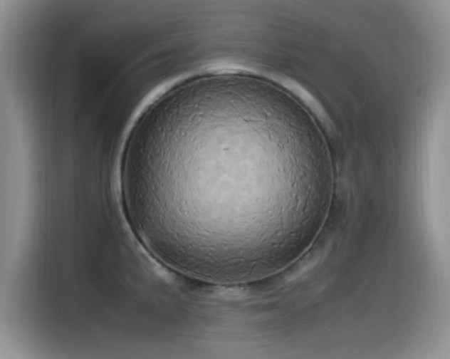 X0000115561191200911061547