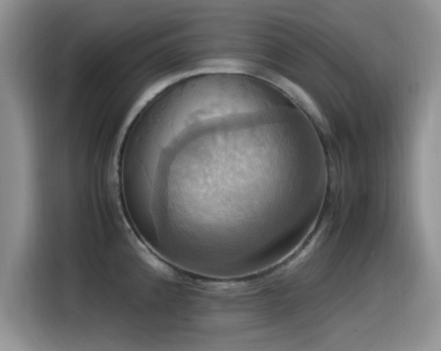 X0000115561192200911061547
