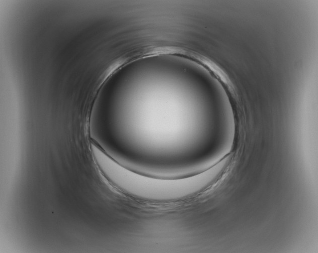 X0000115561193200911061547