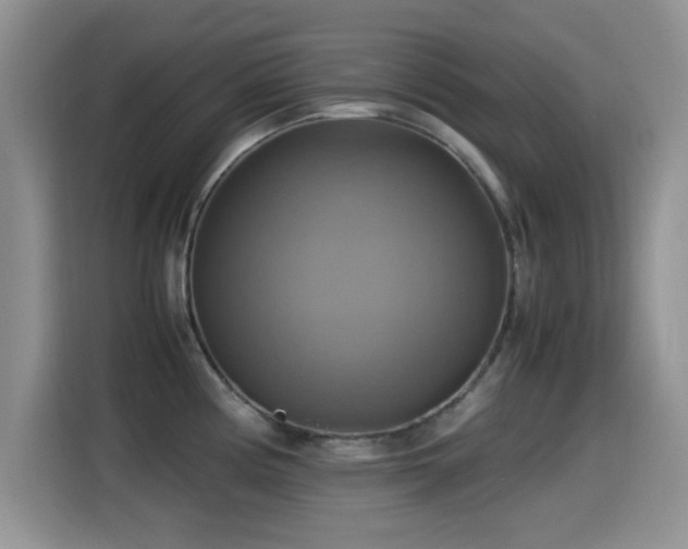 X0000115561194200911061547