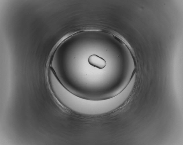 X0000115561195200911061547