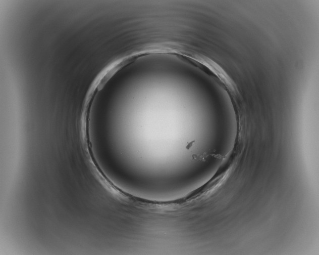 X0000115561196200911061547
