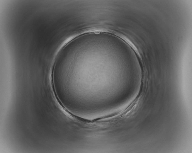 X0000115561197200911061547
