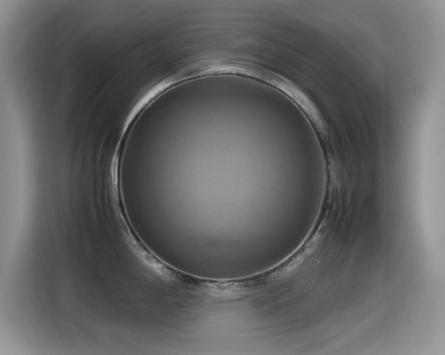X0000115561198200911061547