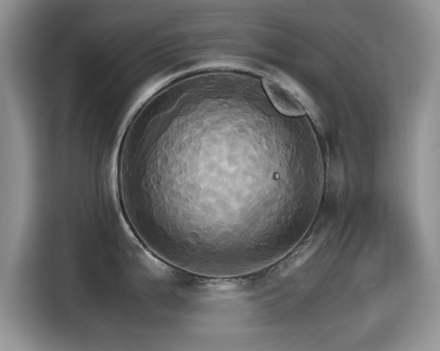 X0000115561199200911061547