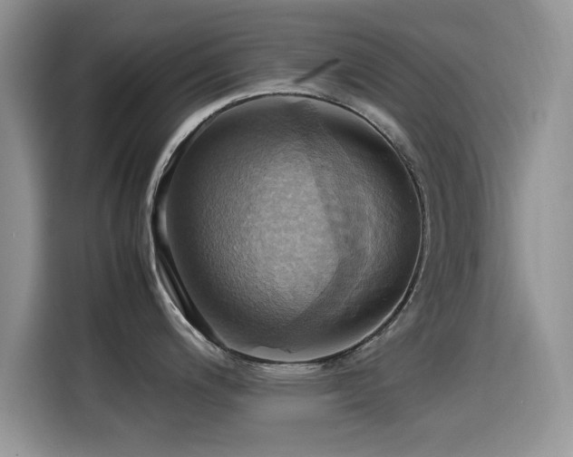 X0000115561200200911061547