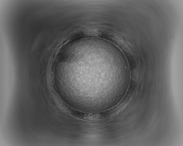 X0000115561201200911061546