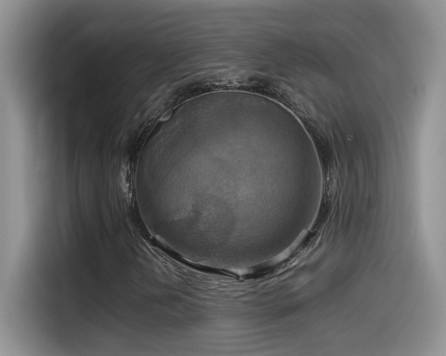 X0000115561202200911061546