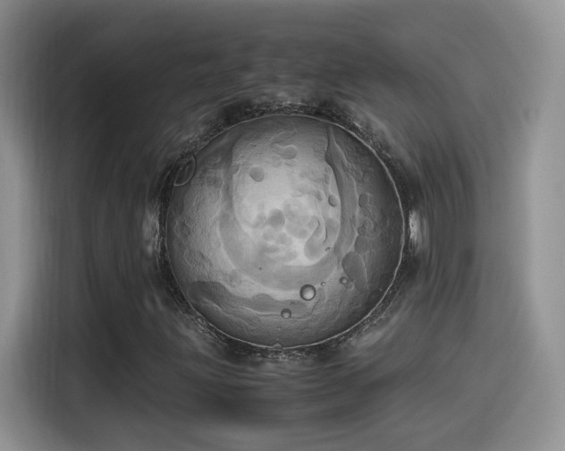 X0000115561203200911061546
