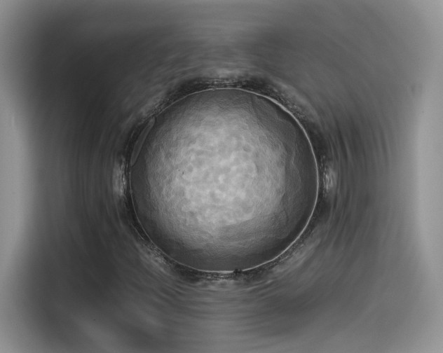 X0000115561204200911061546