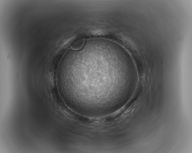 X0000115561205200911061546