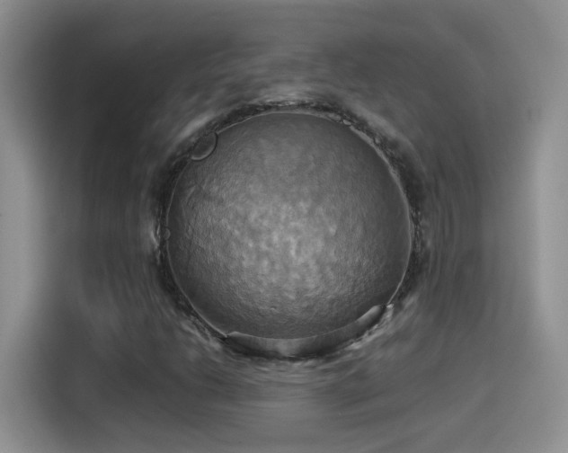 X0000115561206200911061546