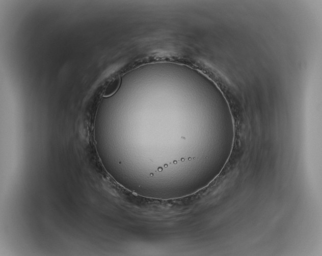 X0000115561207200911061546