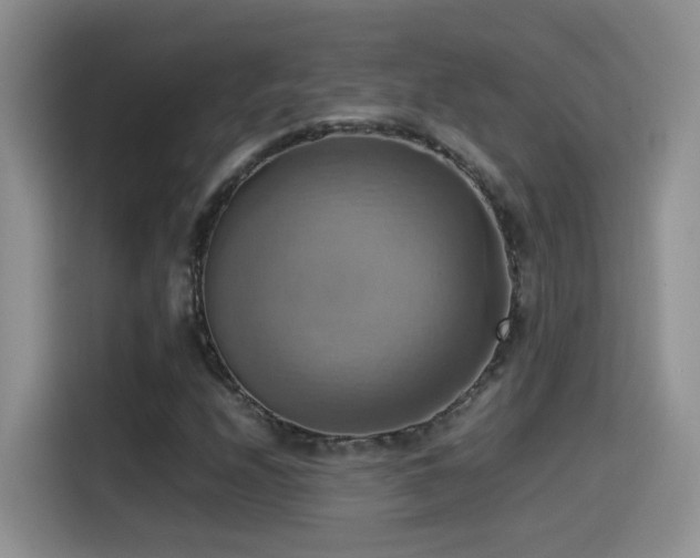 X0000115561208200911061546