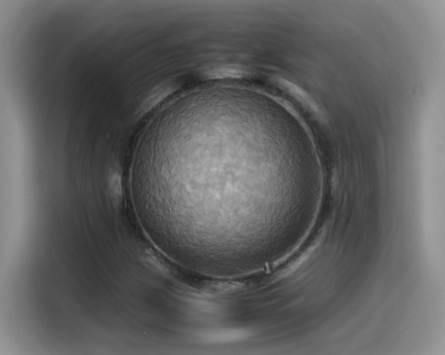 X0000115561209200911061546