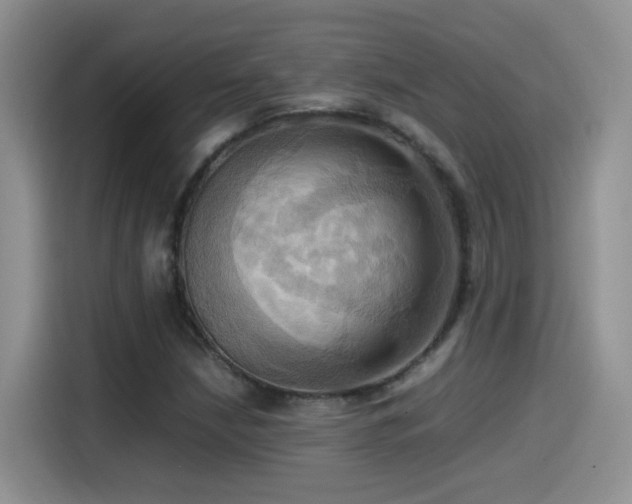 X0000115561210200911061546
