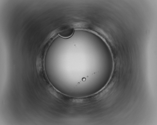 X0000115561211200911061546