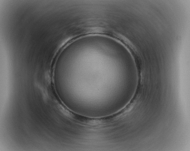 X0000115561212200911061546