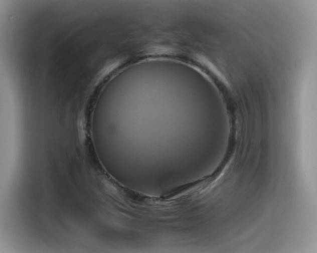 X0000115561213200911061546