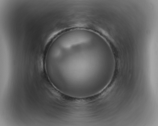 X0000115561214200911061546