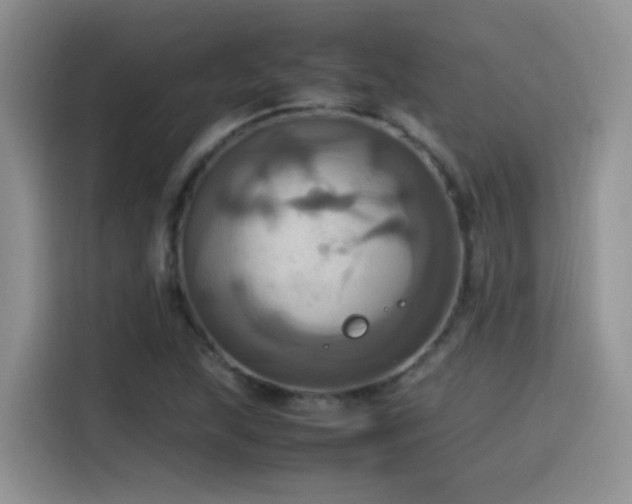 X0000115561215200911061546