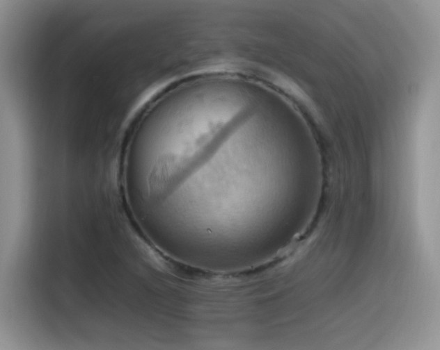 X0000115561216200911061546