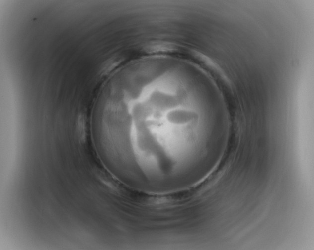 X0000115561217200911061546