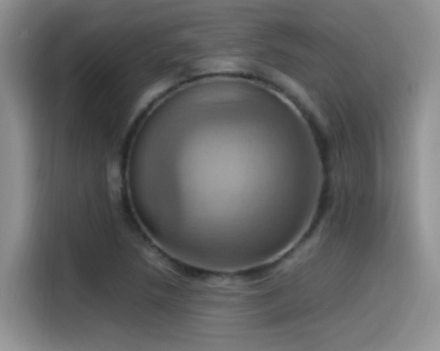 X0000115561218200911061546