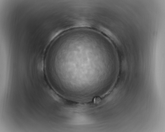 X0000115561220200911061546