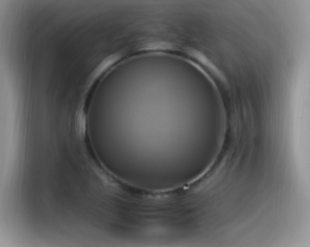 X0000115561221200911061546