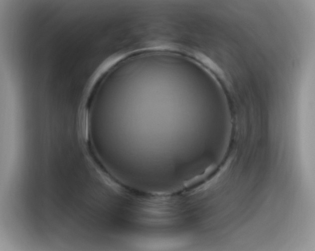 X0000115561223200911061546
