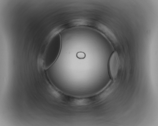 X0000115561225200911061546