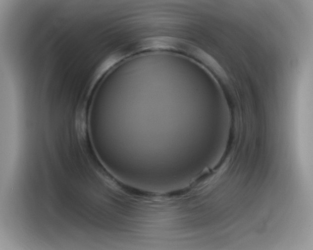 X0000115561226200911061546