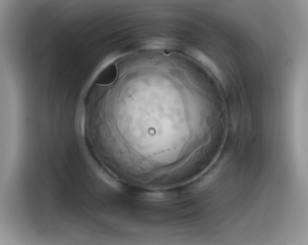 X0000115561227200911061546