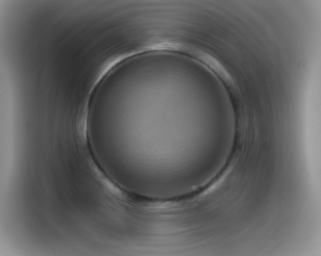 X0000115561228200911061546