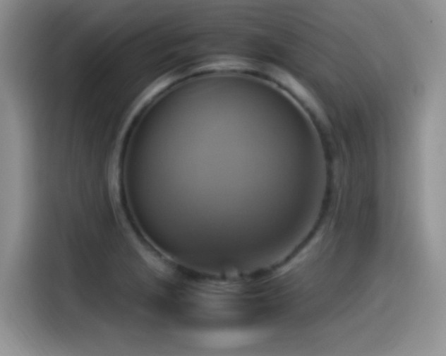 X0000115561229200911061546