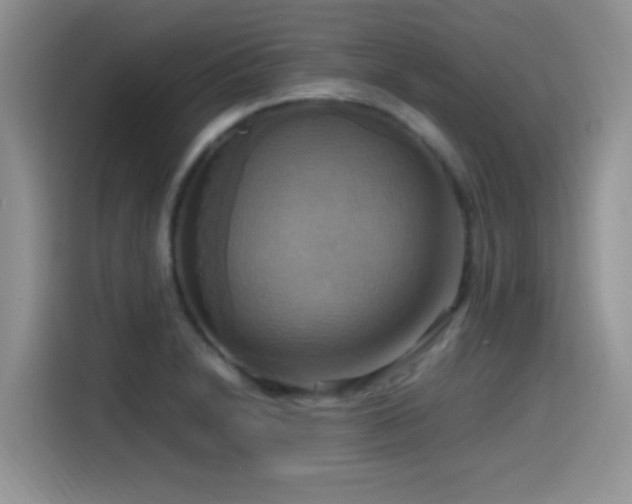 X0000115561230200911061546