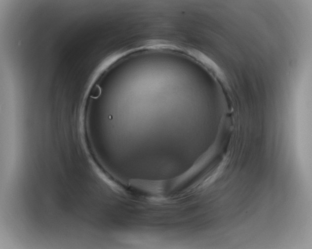 X0000115561231200911061546