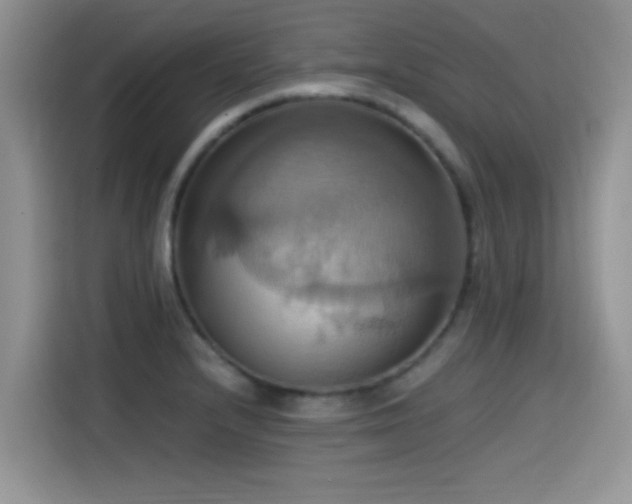X0000115561232200911061546