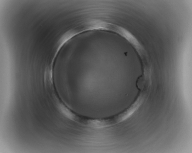 X0000115561234200911061546