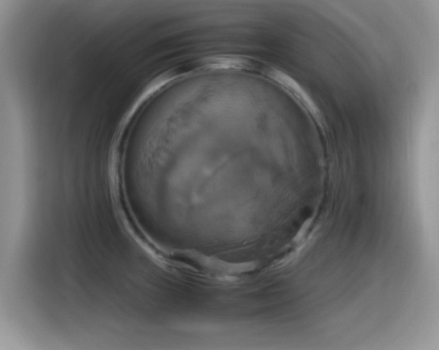 X0000115561235200911061546