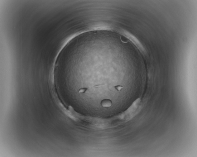 X0000115561236200911061547