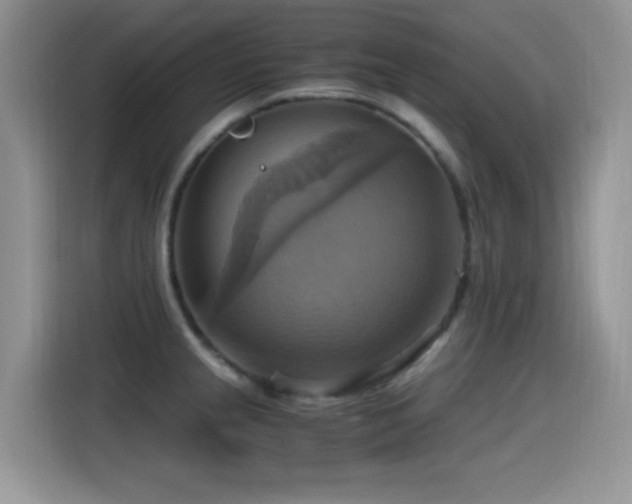 X0000115561237200911061547