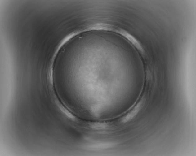 X0000115561238200911061547