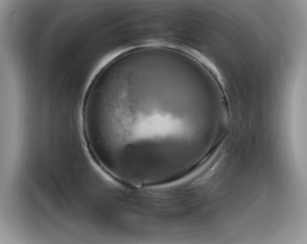 X0000115561239200911061547