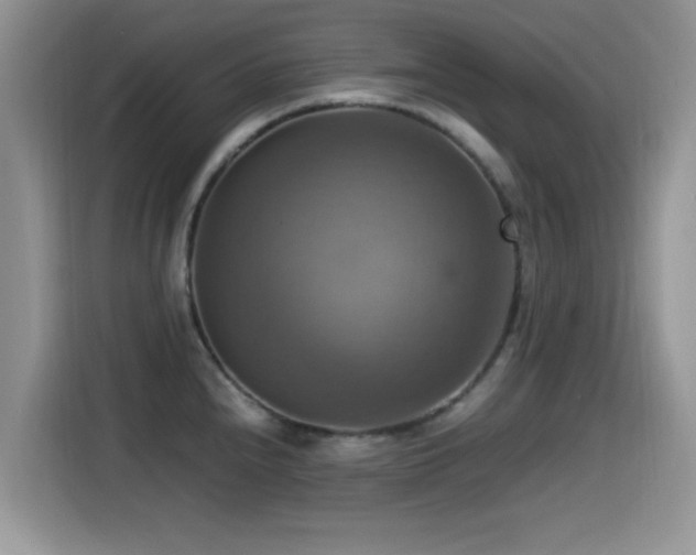 X0000115561240200911061547