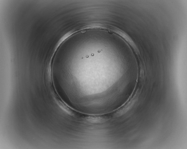 X0000115561242200911061547