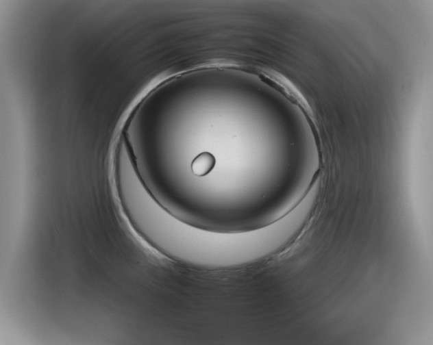 X0000115561243200911061547